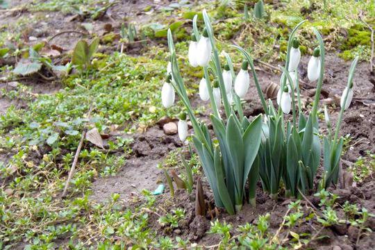 Времето през февруари – по-топло от обичайното
