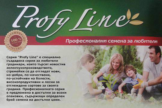 Професионални