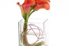 Е-Цвете - Доставка на цветя от http://e-cvete. com :: Практични препоръки за дълготрайна свежест на цветята