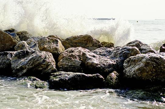 Артишок за черния дроб