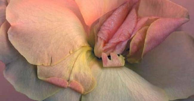 6 неща, които не знаете за вагината