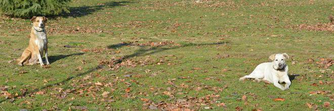 Владимир Йосифов on Twitter: