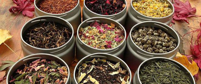 Растението „чай“ – какво знаем и не знаем за него и какви здравословни ползи има