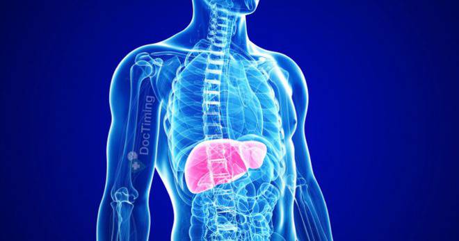 Билки при чернодробни заболявания!