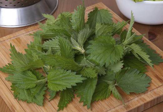 Чудотворните свойства на копривата