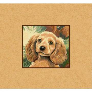 Калъфка `Кокер` 45 x 45 см