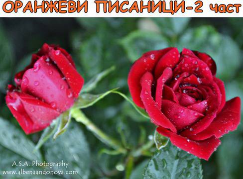 Не пропускай да се радваш на дъжда