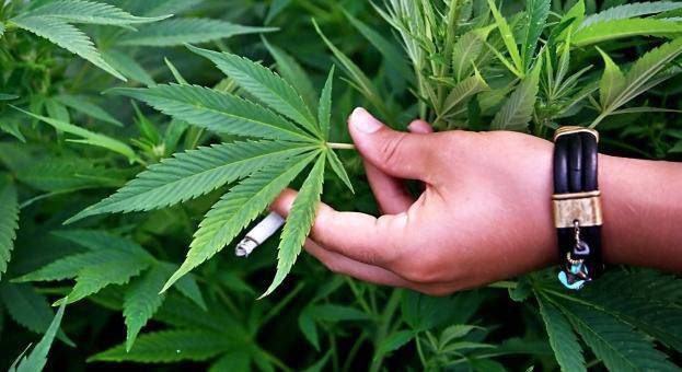 6 месеца условно за син, държал канабис, заради болната си майка