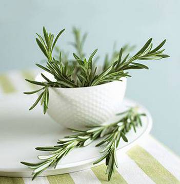 Лечебните свойства на розмарина