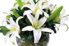 Е-Цвете - Доставка на цветя от http://e-cvete. com :: Букети от лилиуми / лилии