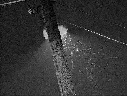 Изложбата „Оставете ги да рисуват“ или разнообразните интерпретации на това какво е рисунка