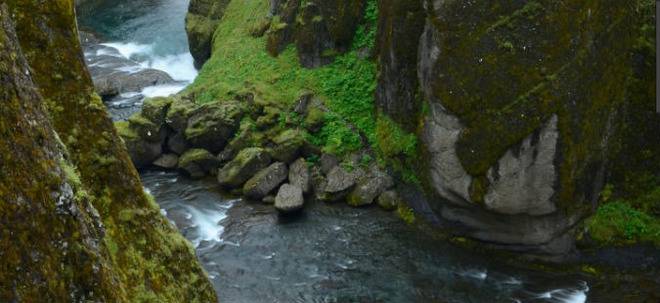 “Природата говори” с гласа на Джулия Робъртс