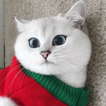 Той е истински – и е перфектен