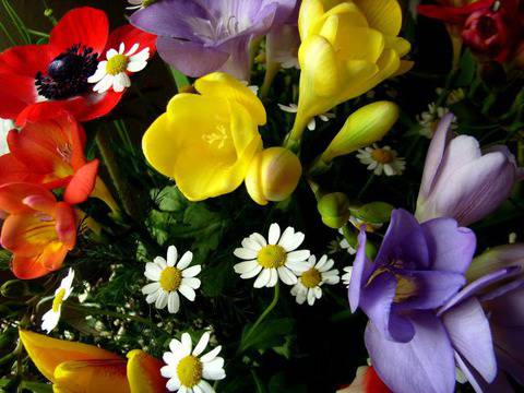 Какъв подарък да подарим на мама за 8 март