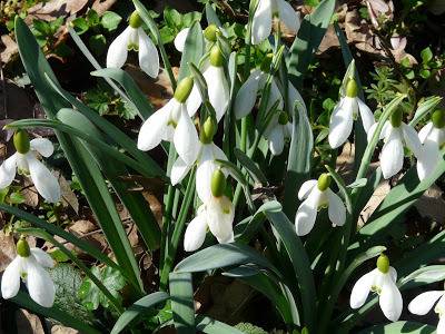 ЦЕЛИ ПОЛЕТА С КОКИЧЕТА И МИНЗУХАРИ МОГАТ ДА СЕ СРЕЩНАТ В МЕСТНОСТ „РАКИТНИКА“ КРАЙ ВАРНА RAZLICHNITENOVINIVSNIMKI НОВИНИТЕ…