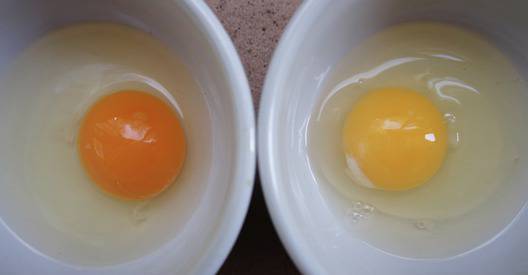 Кои яйца са качествени и как да ги познаем?