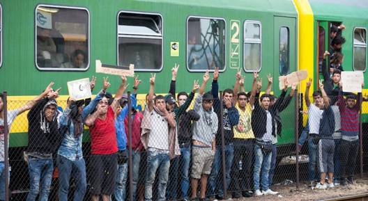 Имигранти от Сирия, Ирак и Афганистан изхвърлиха цели стекове с вода и храна на релсите! Ето защо!