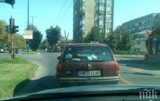 Шок! Родители возят детето си в багажника на кола!