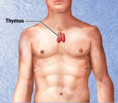 Знаете ли, че имаме точка на щастие? Ето къде е тя и как да я стимулираме!