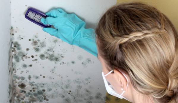 Как да се отървем от мухъла?