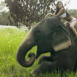 12 мъдрости за живота от Дейл Карнеги