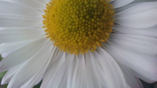 naicheteni: Опасни признаци, че вашият дом е натрупал лоша енергия!