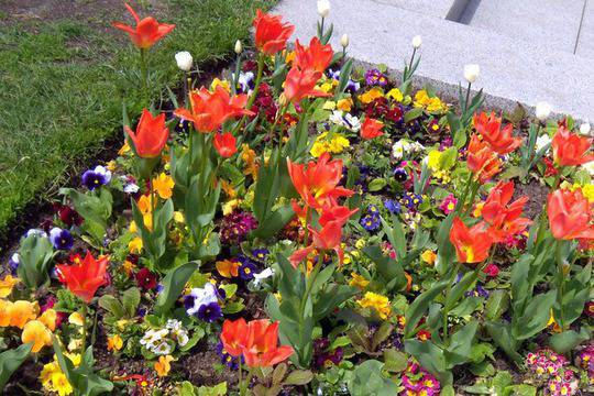 10 вечни естрадни песни за пролетта