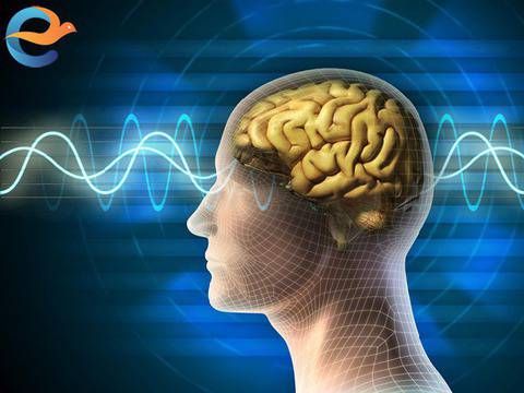 Силата и механизмът на съзнанието