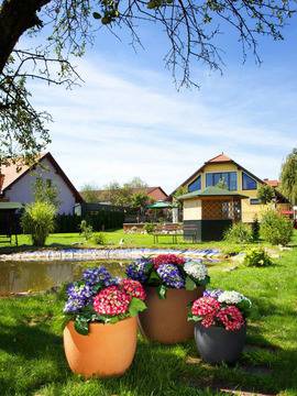 Идеи за градината и двора от РОТО