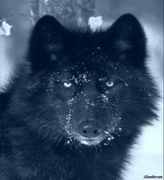 В душите ни се борят два вълка…