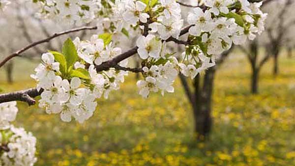 Днес слънчево с максимални температури между 21° и 26°, в София около 22°