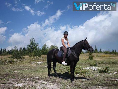 Конна езда край Пловдив – Конна база „Стела“