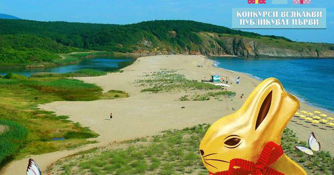 Конкурси всякакви: Спечелете шоколадови Златни зайчета от Lindt