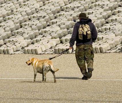 Ако искате да останете млади, вземете си куче!