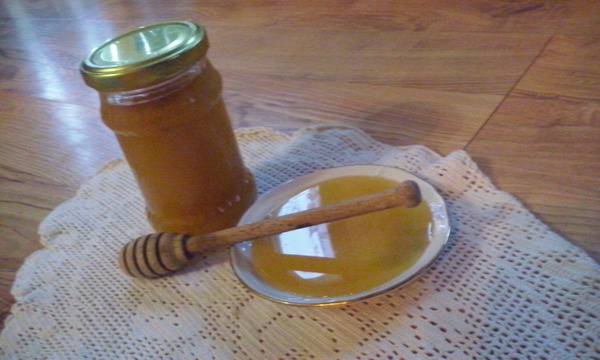 Пчелна ферма Илиеви – Юг