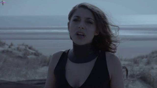 Harper – Blood Sweat Tears 2016