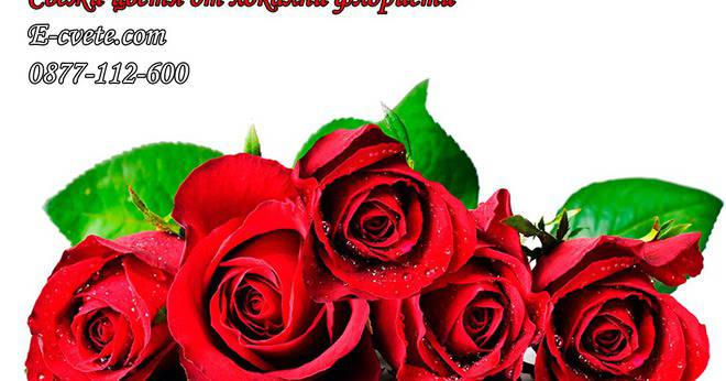 Доставка на цветя София, магазин за цветя София, онлайн цветя София: Кога и на кого подаряваме цветя