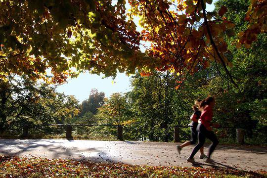 Как да влезем във форма, без да отделяме часове във фитнеса