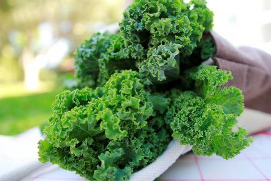 7 храни богати на антиоксиданти