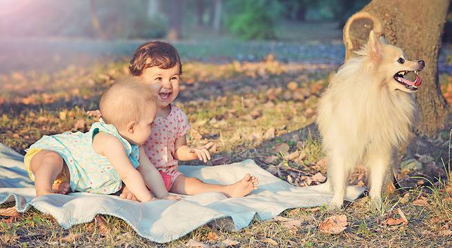 Vix Media – Професионално фотозаснемане Русе