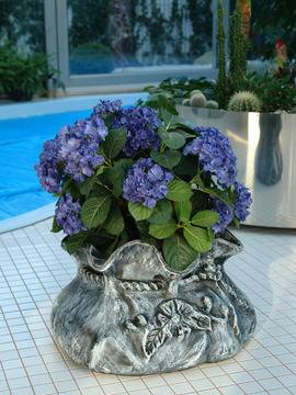 Декоративни градински Саксии и Сандъчета