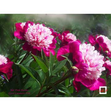 Диамантен гоблен БОЖУРИ