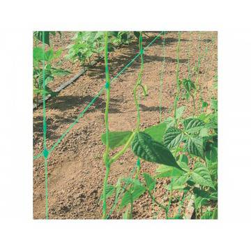 Мрежа за краставици