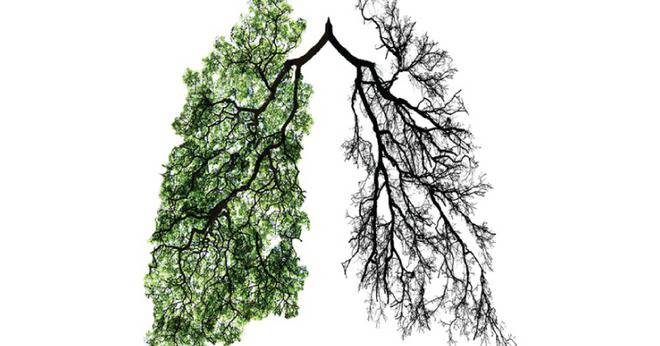 Трансплантирани с бели дробове от пушач с по-големи шансове за живот