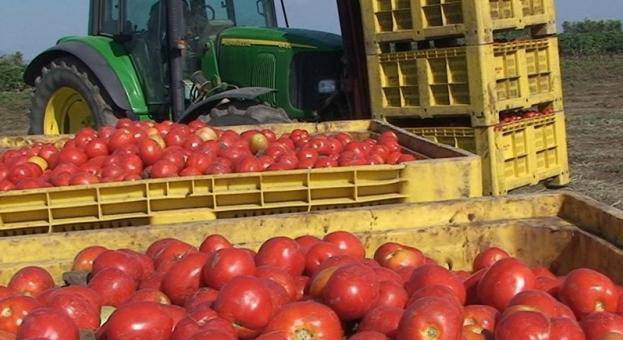 Криза за български плодове и зеленчуци