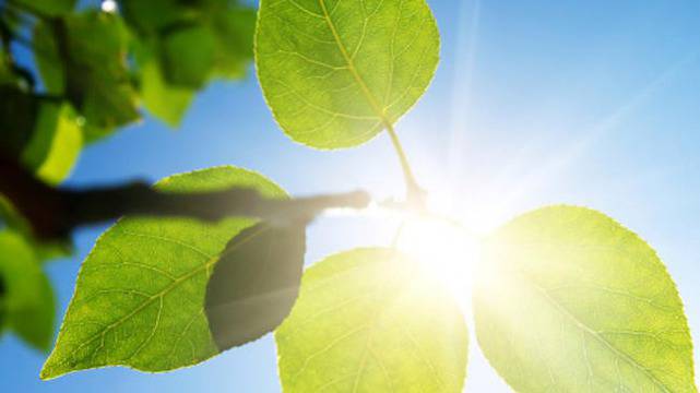 Днес слънчево с максимални температури между 27° и 32°