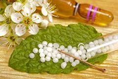 Велико Търново стана център за хомеопатите в България тази година