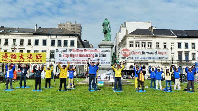 Eвродепутати призовават за разследване на отнемането на органи в Китай