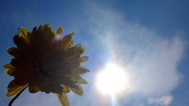 Обявен е жълт код за опасни горещини в цялата страна