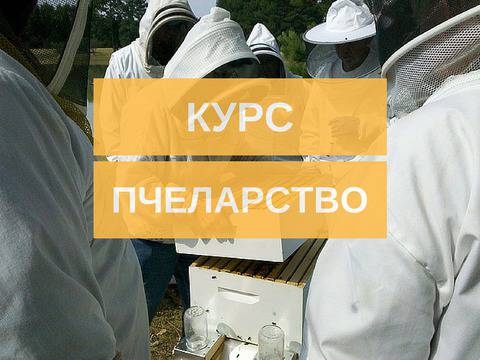 Курс по пчеларство – „Националната програма по пчеларство“